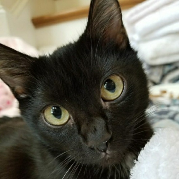 Meet your Posher, Eddie - Picture 1 of 1